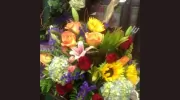 Conroys Flowers