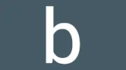 BSA Environmental Services