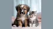 Buck Road Animal Hospital