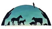 Grand Valley Veterinary Hospital