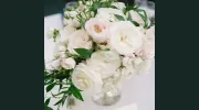 Alore Event Firm
