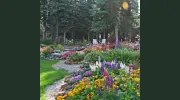 Garden Bed & Breakfast
