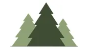 Pine Tree Accounting Services