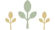 Wellspring Financial Partners