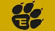 Tiger Electrical Services