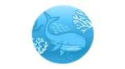 Chelsea Pediatric Dentistry & Orthodontics