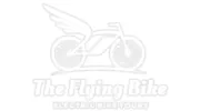 The Flying Bike