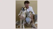 Cahuenga Veterinary Hospital