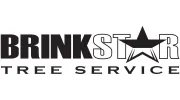 BrinkStar Tree Service