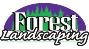 Forest Landscaping