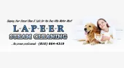 Lapeer Steam Cleaning