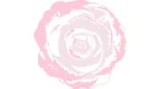 True You Medical Aesthetic: Thang Tran, M.D