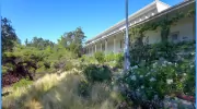 The Meher Schools