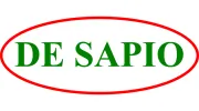De Sapio Construction