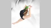 Rigert Elite Gymnastics