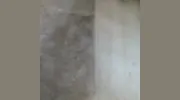 Dirt Free Carpet & Tile Cleaning