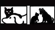 Stow Kent Animal Hospital
