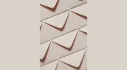 TAP Pest Control Insulation