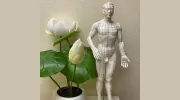 Natural Acupuncture & Cupping Center