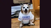 Essex Home Improvements