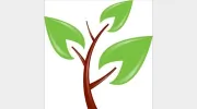 Tulip Tree Family Health Care