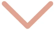 Willow Wellness and Recovery