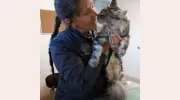 Safe Harbor Animal Hospital