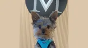Vincent Michael Salon