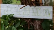 The Little Farm Preschool