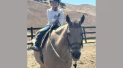 All Seasons Horse Riding