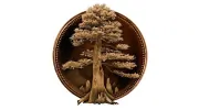 Big Cypress Lodge