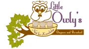 Little Owlys