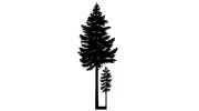 Evergreen Therapy