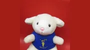 St. John's Christian Preschool