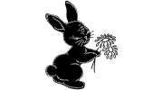 Black Rabbit