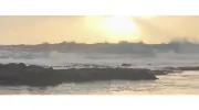 Inner Shores