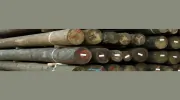 Bayou City Lumber