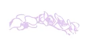 Elysium Aesthetics & Vein Care