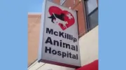 McKillip Animal Hospital