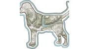 Bluedog Cycles
