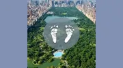Central Park South Obstetrics & Gynecology