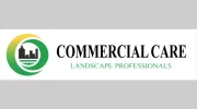 Commercial Care Landscape