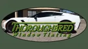 Thoroughbred Window Tinting