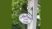 Collins Florist and Gifts