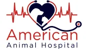 American Animal Hospital