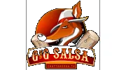 G2G Salsa
