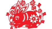 Wood Rabbit Acupuncture