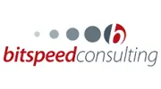 Bitspeed Consulting