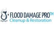 Flood Damage Pro