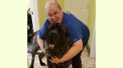 Community Animal Hospital